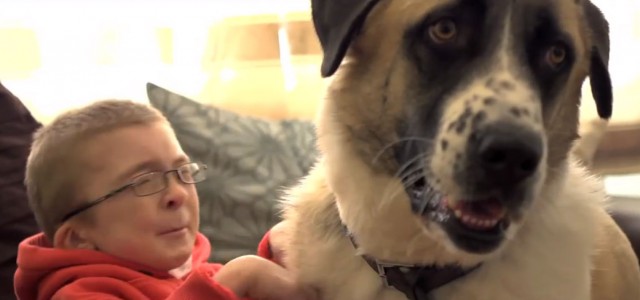 This Little Boy Has a Rare Muscle Condition and Lives with Intense Pain. Then He Met this Wonderful Dog.