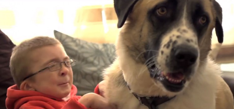 This Little Boy Has a Rare Muscle Condition and Lives with Intense Pain. Then He Met this Wonderful Dog.